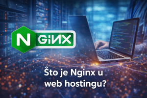 nginx http server